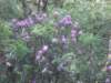 dscn0123_small.jpg
