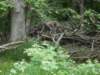 dscn0126_small.jpg