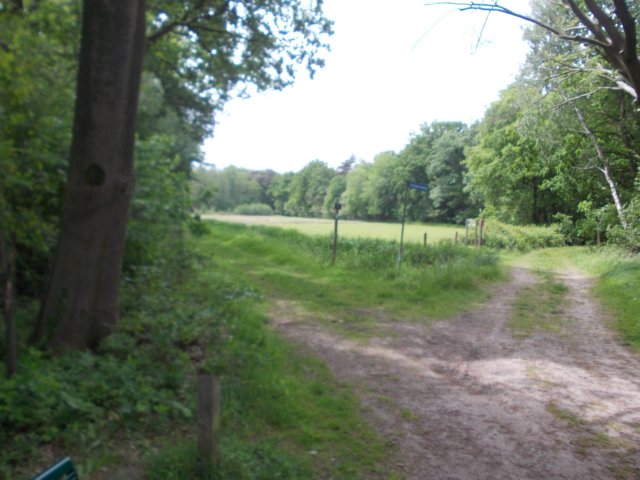 dscn0127.jpg