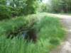 dscn0128_small.jpg