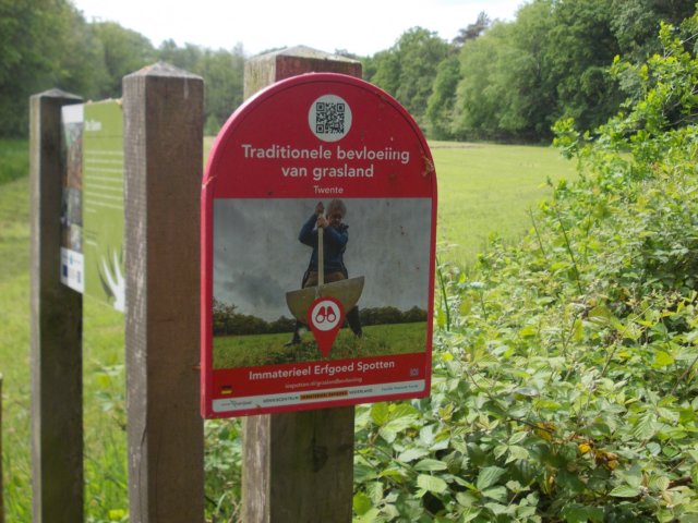 dscn0130.jpg