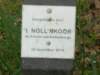 dscn0132_small.jpg