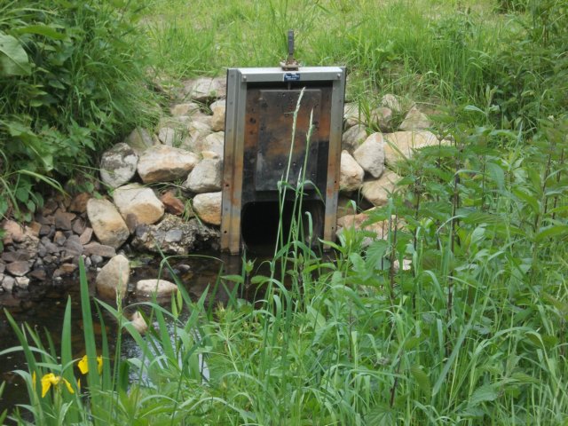 dscn0133.jpg