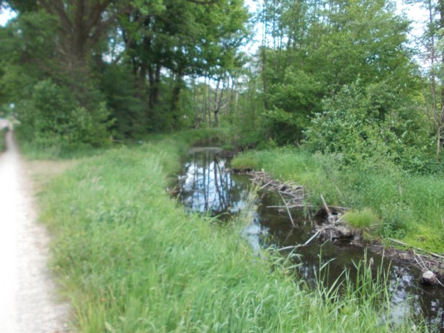 dscn0135.jpg