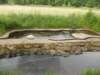 dscn0136_small.jpg