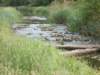 dscn0142_small.jpg