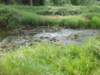 dscn0143_small.jpg