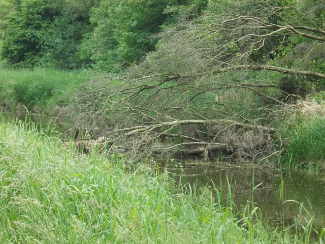 dscn0144.jpg