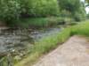 dscn0146_small.jpg