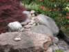 dscn0150_small.jpg