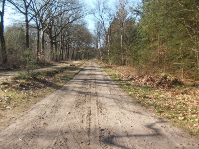 dscn0190.jpg