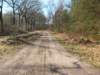 dscn0190_small.jpg