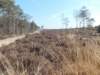 dscn0191_small.jpg