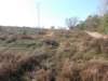 dscn0192_small.jpg