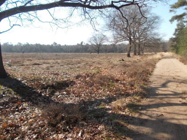 dscn0195.jpg