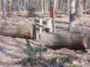 dscn0196_small.jpg