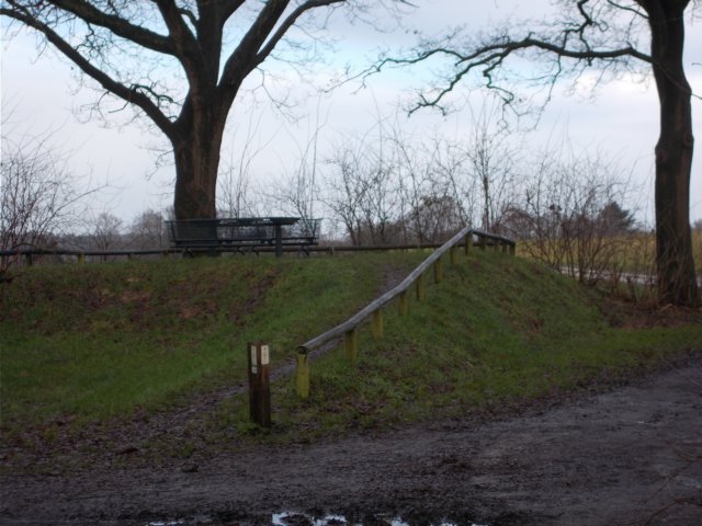 dscn0939.jpg