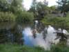 dscn1488_small.jpg