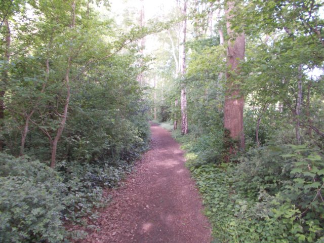 dscn1490.jpg