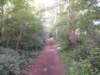 dscn1490_small.jpg