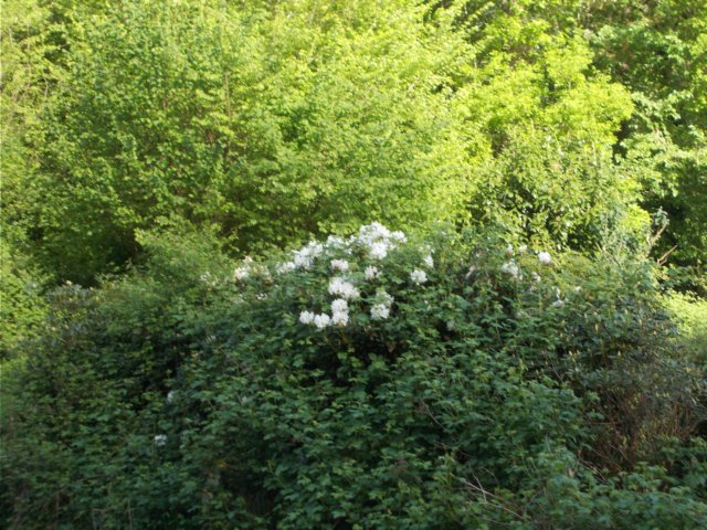 dscn1491.jpg