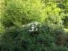 dscn1491_small.jpg