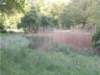 dscn1492_small.jpg