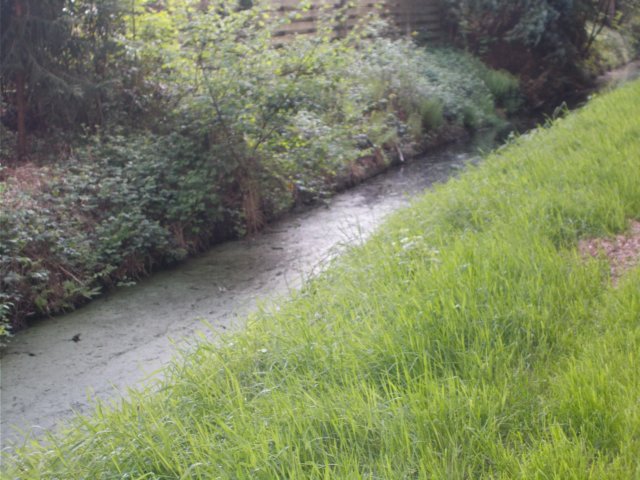 dscn1493.jpg