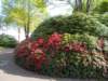 dscn1496_small.jpg