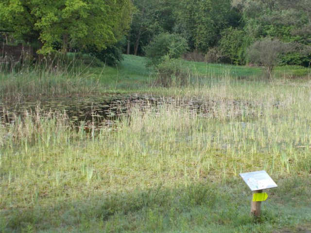 dscn1498.jpg