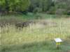 dscn1498_small.jpg