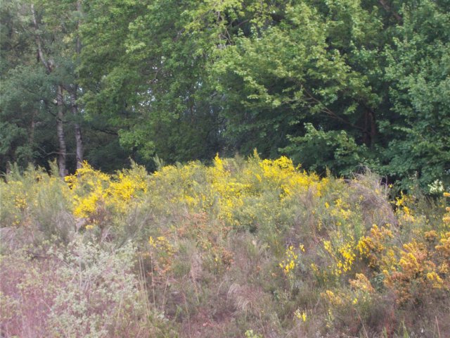 dscn1500.jpg