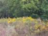 dscn1500_small.jpg