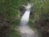 dscn1517_small.jpg