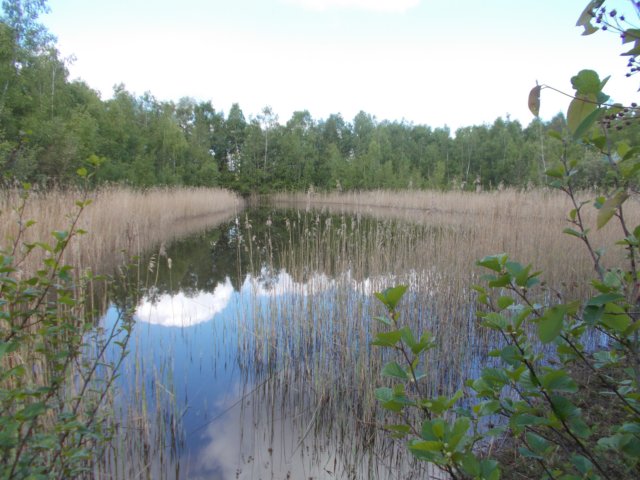 dscn1518.jpg
