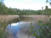 dscn1518_small.jpg