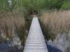 dscn1519_small.jpg