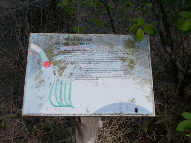 dscn1520.jpg