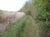 dscn1522_small.jpg