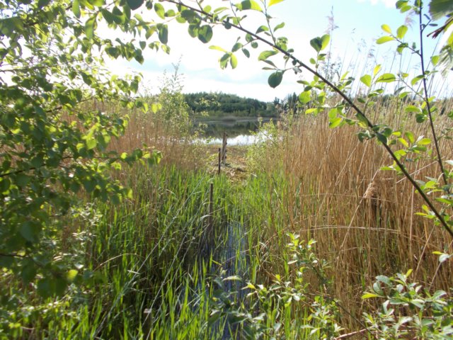 dscn1523.jpg