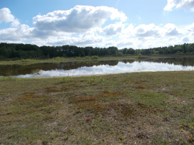 dscn1527.jpg