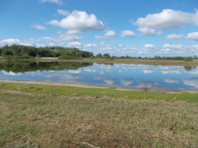 dscn1528.jpg