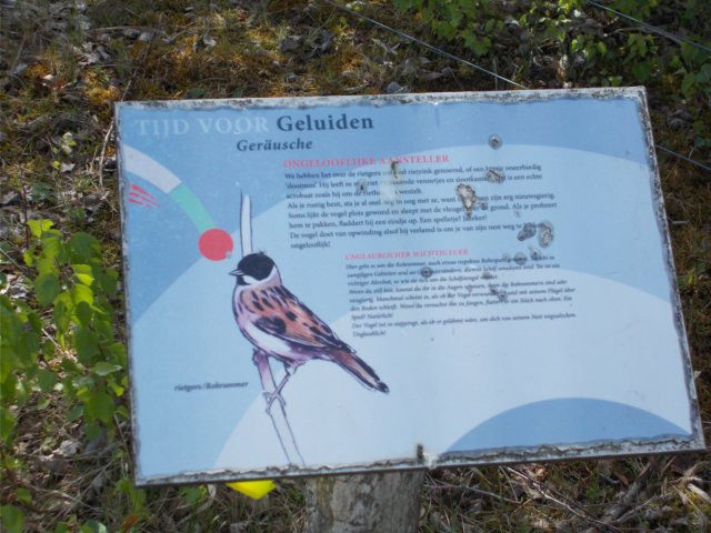 dscn1529.jpg