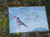 dscn1529_small.jpg