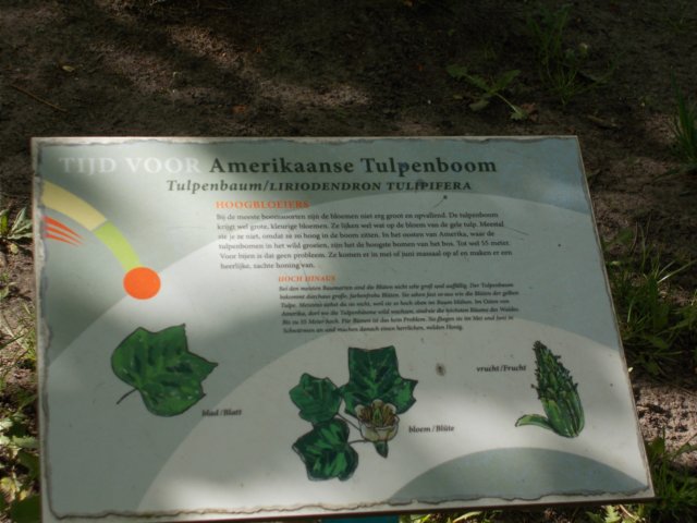 dscn1530.jpg