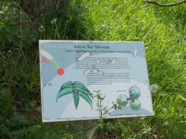 dscn1532.jpg