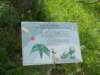 dscn1532_small.jpg