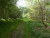 dscn1534_small.jpg