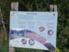 dscn1535_small.jpg
