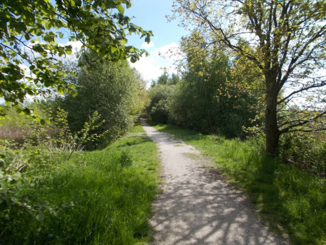 dscn1538.jpg